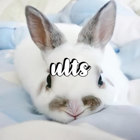 ults